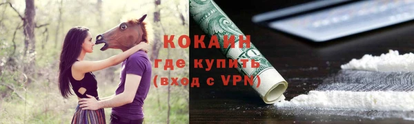 spice Верея