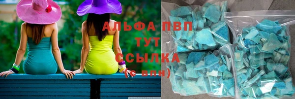 spice Верея