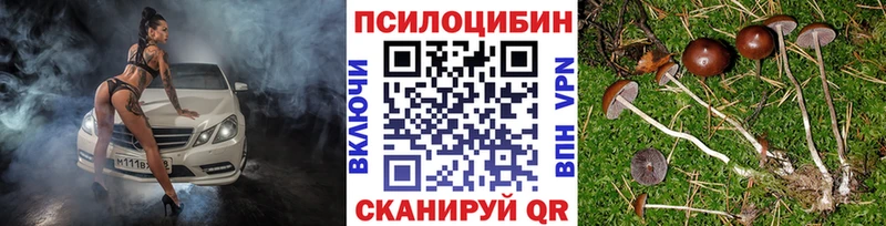 ссылка на мегу ТОР Элиста даркнет Telegram Галлюциногенные грибы GOLDEN TEACHER