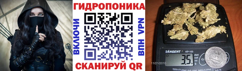 Канабис сатива  где купить наркоту  mega ссылка  Элиста 